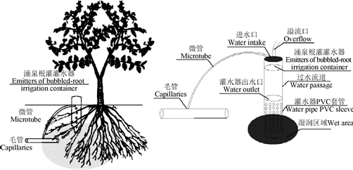 涌泉根灌节水灌溉技术特点_应用及展望_何振嘉