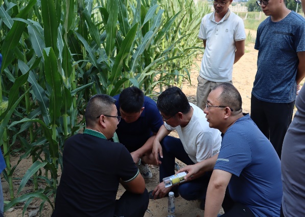 陕西省农业节水体系专家组赴陕北开展旱情调研
